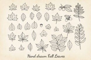 This fall leaves SVG collection includes 32 hand-drawn vectors of fall leaf, suitable for many creative projects such as scrapbook, card making, junk journal, planner layouts and decoration, or printi... Fall Leaves Svg, Vector Graphics Illustrations, Bee Clipart, Planner Layouts, Leaves Vector, Creative Gardening, Fall Leaf, Planner Layout, Watercolor Sunflower