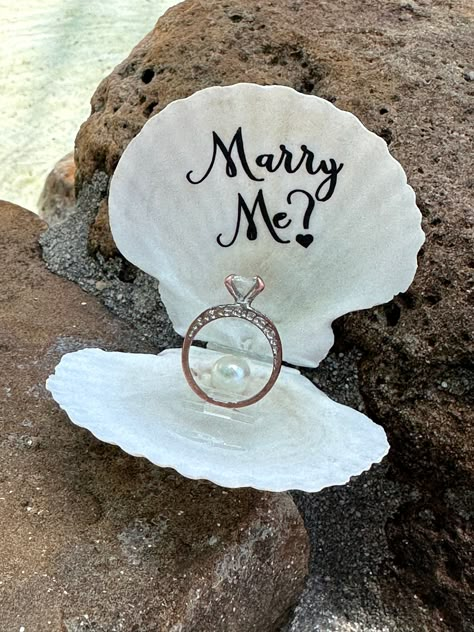 "Proposal seashell ring box,beach ring holder,getting engaged ring holder, surprproposal ring holder,proposal seashell, will you marry me  Beach proposal white seashell ring holders are fresh out of the ocean! These round white textured fan paired seashells were especially made due to numerous requests for THE MOST NATURAL look --in order to make the greatest impact and surprise for a beach proposal. They are made with gorgeous yet  shells.. Each is unique and they are not perfect- which adds character to the natural beauty. They are not easily found as pairs which makes them special. Hunting for them is similar to --Picking THE ONE! The shells vary from shades of white to Soft cream. They are delicate and classy looking. The lettering is in black for impact. Adorned with contrasting vinyl Seashell Engagement Ring Boxes, Seashell Ring Holder, Cute Beach Proposal Ideas, Shell Engagement Ring, Beachy Wedding Ring, Ring Boxes Engagement, Small Proposal Ideas, Will You Marry Me, Marry Ring