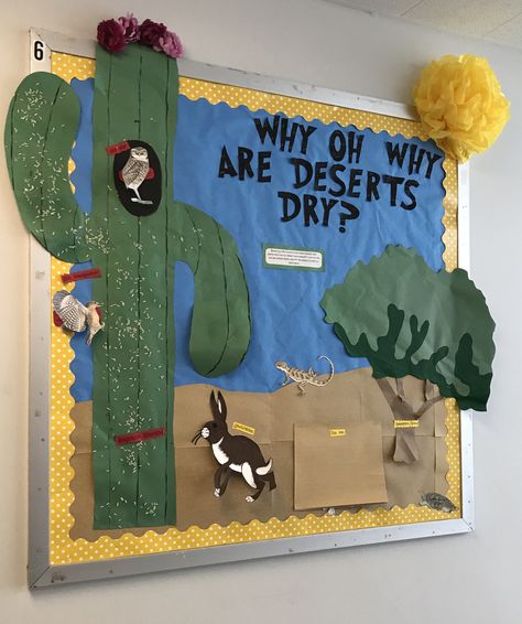 Desert Bulletin Board Ideas, Desert Theme Bulletin Boards, Desert Bulletin Board, Desert Classroom Theme, Hallway 2023, Desert Classroom, Tot School Themes, Desert Habitat, Class Board