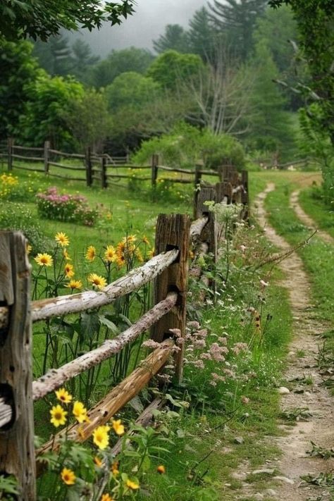 Creative Fence, Garden Fences, Country Fences, Flowers Growing, Country Landscaping, Pretty Landscapes, Country Scenes, Fence Ideas, Wooden Fence