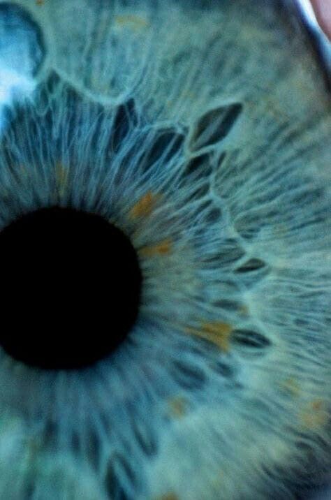 Iris Drawing, Requiem For A Dream, Eye Close Up, Close Up Photography, Aesthetic Eyes, Blue Eye, Awesome Art, Pretty Eyes, Eye Drawing