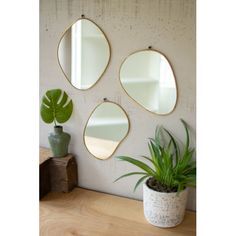 Minimalist Mirrors, Mirror Decor Ideas, Wall Mirrors Set, Shaped Mirror, Circle Mirror, Mirror Set, Luz Natural, Leaf Wallpaper, Wall Mirrors