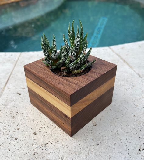 Small Woodworking Projects Picket Projects, Carpentry Ideas, Succulent Holder, Small Planters, Succulent Planter Diy, Wooden Pot, Planter Diy, Wooden Items, Reclaimed Wood Projects