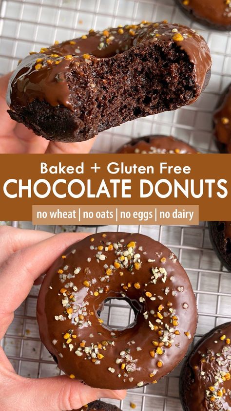 These baked chocolate donuts are soft and tender and topped with a dark chocolate glaze. They're made with grain free flour (gluten free), lightly sweetened with maple syrup and allergy friendly (no nuts, no eggs, no dairy) - a healthy donut recipe that can be enjoyed for brunch or dessert. Nut Free Baked Goods, Gluten Nut Dairy Free Recipes, Gluten Free Chocolate Donuts Baked, Nut Free Egg Free Dessert, Coconut Flour Donut Recipes, Gf Donuts Baked, Gf Healthy Snacks, Dairy Free Food Recipes, Top Allergen Free Recipes