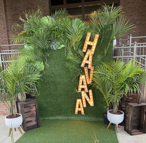 Jungle Party Photo Wall, Havana Nights Party Theme For Men, Havana Nights Photo Backdrop, Tropical Backdrop Diy, California Themed Party Decoration, Havana Nights Backdrop Ideas, Havana Night Backdrop Ideas, Night In Havana Party Theme, Diy Havana Nights Decor