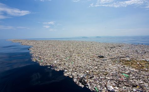 One of the consequences of all of the waste we produce is the trash floating throughout the oceans. This trash damages the natural ecosystem of the oceans and it is irresponsible of us to allow this destruction to go on. Great Pacific Garbage Patch, Water Facts, Marine Debris, Water Scarcity, Contaminated Water, Ocean Pollution, Water Pictures, La Pollution, Trash Art