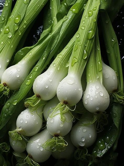 Black Dessert, Vegetables Photography, Rose Flower Wallpaper, Colorful Vegetables, Garlic Mushrooms, Fruit Photography, Garden Veggies, Vegetable Basket, Beautiful Fruits