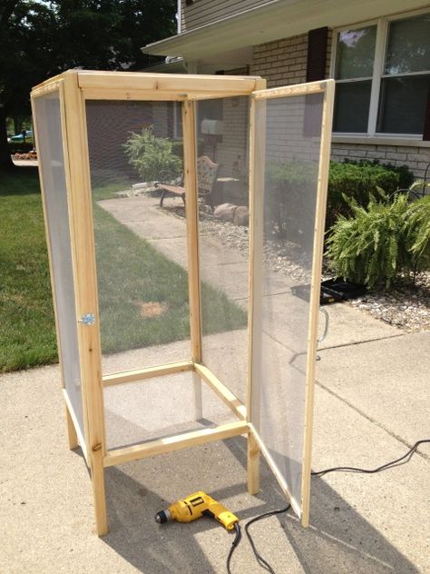 Bird Enclosure Indoor, Homemade Bird Cage, Squirrel Cage Ideas, Diy Parrot Cage, Diy Chameleon Enclosure, Parakeet Cage Ideas Diy, Bird Cage Ideas Indoor, Bird Cage Ideas Diy, Bird Cage Diy