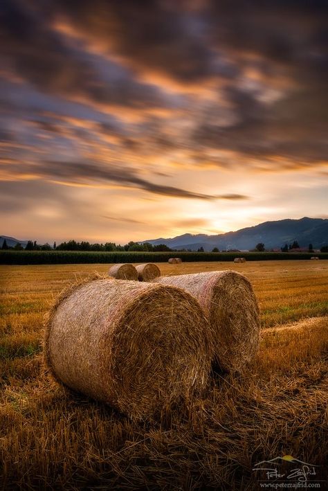 Hay Farm, Country Images, Farm Photography, Fields Of Gold, Scenic Photos, Photographie Portrait Inspiration, Hay Bales, Farm Art, Farm Scene