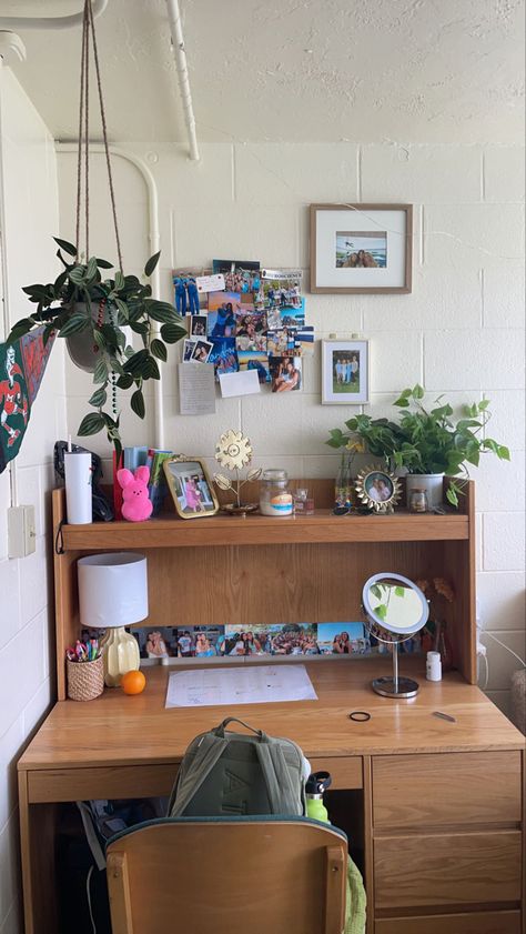 Dorm inspo Dorm Inspo, University Of Miami, Room Inspo, Miami, University