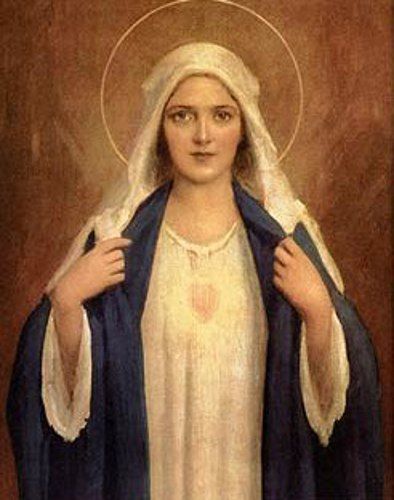 Immaculate Heart Of Mary Catholic Wall Decor, Immaculate Heart Of Mary, American Gallery, Heart Of Mary, Images Of Mary, Immaculate Heart, Catholic Images, Religious Paintings, The Virgin Mary