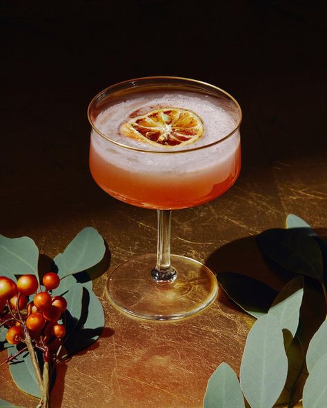 Easy Cocktail Recipes: 20 Festive Drinks To Enjoy All Winter Gin Winter Cocktails, Winter Cocktails Recipes Easy, January Cocktails, Fancy Cocktail Recipes, Winter Gin Cocktails, Trending Cocktails, Easy Winter Cocktails, Winter Cocktail Recipes, Winter Cocktail Party