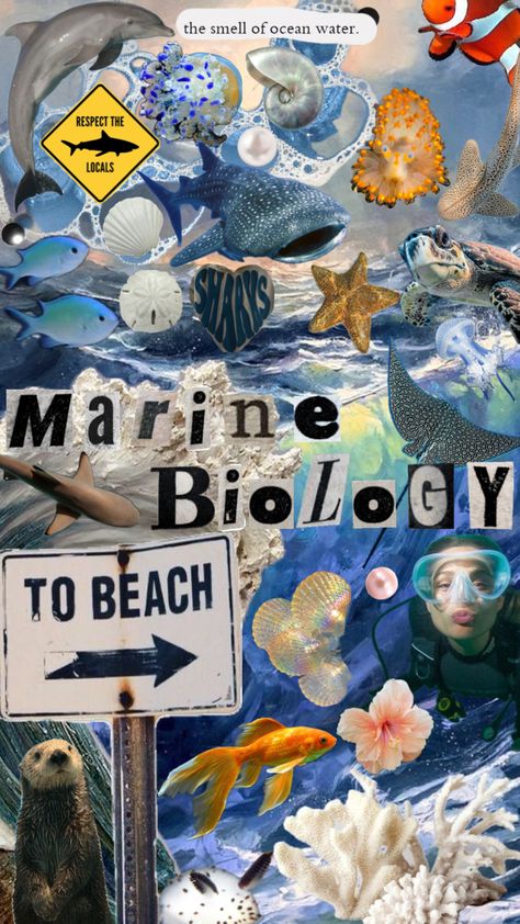 my dream job 🤭🪸 #marinebiology #marine #marinebiologist #ocean #sea #oceanlife Biology Collage, Biology Jobs, Oceanography Marine Biology, Sea Life Wallpaper, My Dream Job, Cute Summer Wallpapers, Biology Notes, Marine Biologist, Oceanography