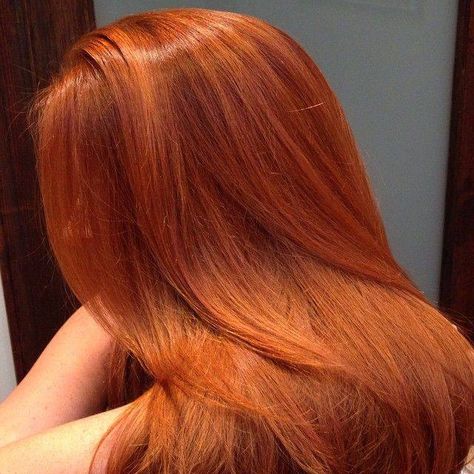 Cheveux Oranges, Red Hair Inspo, Ginger Hair Color, Copper Hair Color, Long Red Hair, Modern Disney, Sansa Stark, Copper Hair, Red Hair Color