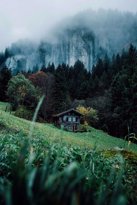 Supraviețuire Camping, Matka Natura, Applied Arts, Forest House, Bhutan, Cabins In The Woods, Off The Grid, Nature Aesthetic, House In The Woods