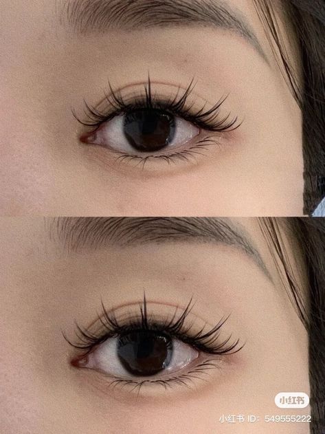 Douyin Makeup Lashes, Eye Lashes Styles, Korean Eyelash Extensions Styles, Douyin Lash Extensions, Natural Anime Lashes, Asian Eye Lash Extensions, Monolid Lashes, Eyelash Extensions Asian Eyes, Eye Makeup Chinese