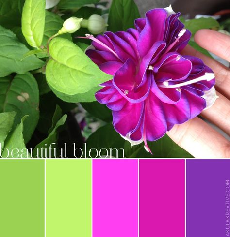 Lime Green Matching Colours, Green Contrast Color Combinations, Purple Color Palettes, Color Schemes Colour Palettes, Green Colour Palette, Color Palate, Color Palette Design, Color Balance, Fuchsia Color