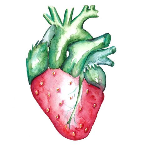 Heart Drawing Ideas, Strawberry Drawing, Fruit Hearts, Microscopic Photography, Heart Anatomy, Strawberry Hearts, Food Illustration Art, Heart Sketch, Baby Pregnancy