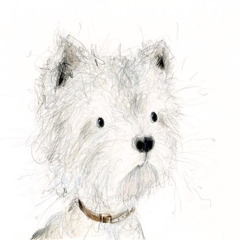 Toutes les publications • Instagram West Highland Terrier Drawing, Catherine Rayner, Scruffy Dogs, Doodle Dogs, Cute School Stationary, Highland Terrier, Highlands Terrier, Doodle Dog, West Highland Terrier