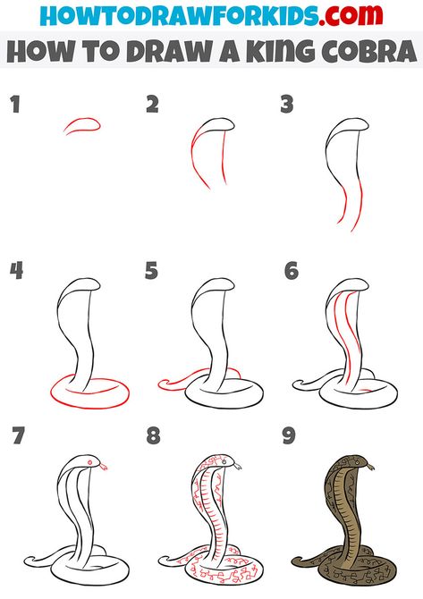 how to draw a king cobra step by step How To Draw A Cobra Step By Step, Cobra Drawing Easy, King Cobra Snake Drawing, How To Draw A Snake Step By Step, King Cobra Drawing, How To Draw A Snake, Cobra Sketch, Snakes Drawing, Cobra Drawing