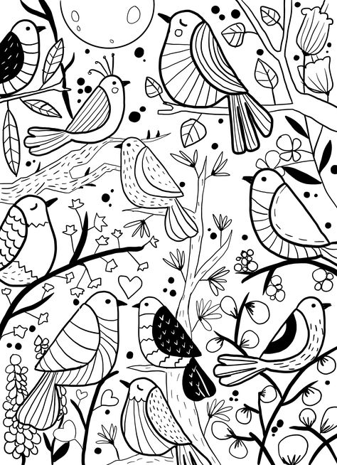 Colouring Art Therapy, Bird Doodle, Zen Doodle Art, Doodle Inspiration, White Drawing, 자수 디자인, Doodle Art Designs, Black And White Drawing, Bird Drawings