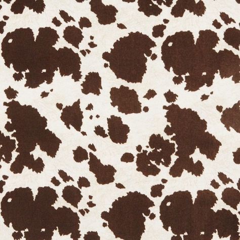 Brown And White Cow, Cow Print Rug, White Cow Print, White Cow, Cow Print, Cow, Rug, Google Search, White