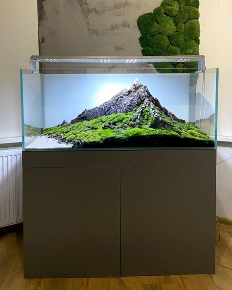 Fish Aquarium Decorations, Aquarium Sand, Fish Pond Gardens, Aquarium Rocks, Fish Tank Terrarium, Aquascape Design, Fish Tank Design, Betta Aquarium, Aquarium Led