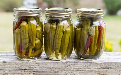 2 Simple Recipes for the BEST Pickled Okra Pickled Okra Recipes, Pickled Sweet Peppers, Okra Benefits, Okra Water, Zucchini Pickles, Freezer Jam Recipes, Best Pickles, Pickled Okra, Okra Recipes