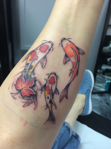 Koi Family Tattoo, Koi Fish Tattoo Colour, 3 Fish Tattoo, Three Koi Fish Tattoo, Koi Fish Tattoo Design Colored, Colored Koi Fish Tattoo, Color Koi Fish Tattoo, 3 Koi Fish Tattoo, Koi Pond Tattoo