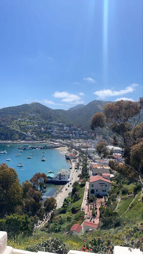 Catalina Island Pictures, Catalina Island Aesthetic, Catalina Island Outfit, Santa Catalina Island, Summer Board, Island Pictures, La Baby, All Of The Lights, Senior Trip