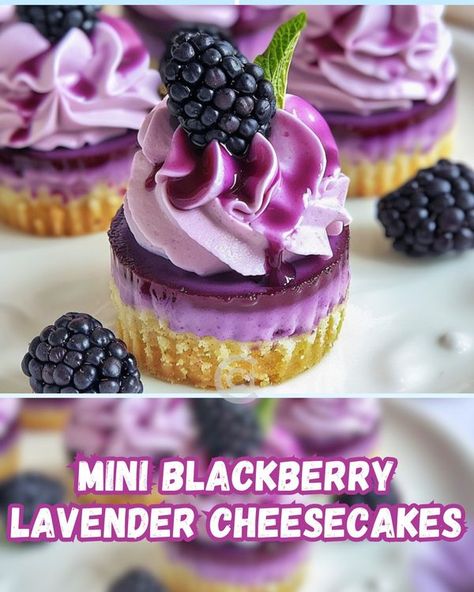 Cooking Crust Mini Blackberry Lavender Cheesecakes, Blackberry Topping, Blackberry Lavender, Blackberry Sauce, Blackberry Cheesecake, Cheesecake Tarts, Icing Colors, Easy Baking Recipes Desserts, Graham Cracker Crumbs