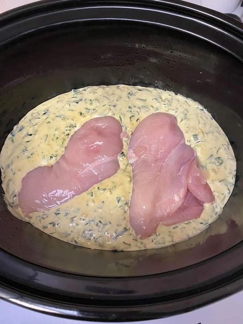 Slow Cooker Chicken And Spinach Recipes, Crockpot Chicken With Spinach, Creamy Spinach Chicken Crock Pot, Crockpot Spinach Chicken, Crockpot Recipes With Spinach, Crockpot Chicken And Spinach Recipes, Chicken Spinach Crockpot Recipes, Crockpot Cream Of Chicken Recipes, Slow Cooker Chicken Dumplings