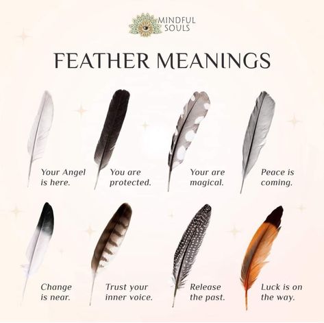 Native American Feathers Meaning, Feathers In Witchcraft, Witchcraft Prayers, Feather Identification, Finding Feathers, Feather Symbolism, Astrology Dates, Feather Meaning, Zen Mind