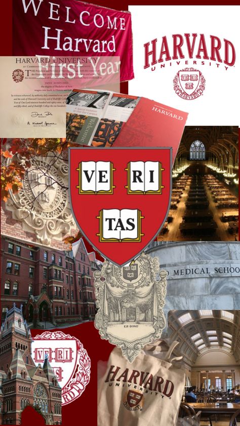 Do not repost please (mine) Harvard Wallpaper Aesthetic, Harvard Motivation Wallpaper, Harvard Logo Wallpaper, Harvard University Dorm, Harvard Law School Wallpaper, Harvard Student Aesthetic, Harvard Dream Board, Harvard Aesthetic, Harvard University Campus