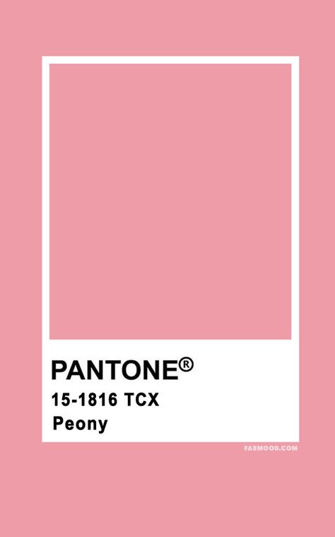 Pantone Peony 15-1816 Wedding Colours, Wedding Theme colour palettes #color #pantone Peony Pink Color Palette, Pink Color Palette Pantone, Pantone Peony, Pink Pantone Palette, Peony Color Palette, Pink Palette Color, Peony Pink Color, Flamingo Pink Color, Wedding Colour Palettes