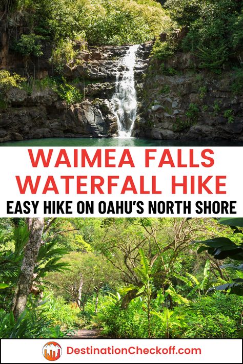 Discover the beauty of the Waimea Falls waterfall hike in Oahu. This guide covers the lush botanical garden walk, rich history of Waimea Valley, and the refreshing swim at the falls. Learn how to visit Waimea Valley and Falls, tips for the trail, and what to expect. Perfect for nature lovers, this hike offers a blend of scenic beauty and cultural heritage. Explore the flora, enjoy a leisurely walk, and dive into the cool waters of Waimea Falls. Waimea Valley Oahu, Waimea Falls Oahu, Oahu Botanical Gardens, Waimea Falls, Hawaii Vacation Tips, Waimea Valley, Oahu Hikes, Waterfall Hike, Oahu Vacation