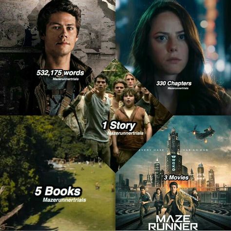 The Kill Order, Maze Runer, Maze Runner Thomas, Maze Runner The Scorch, Maze Runner Trilogy, Maze Runner Funny, Maze Runner Cast, Maze Runner Movie, Newt Maze Runner