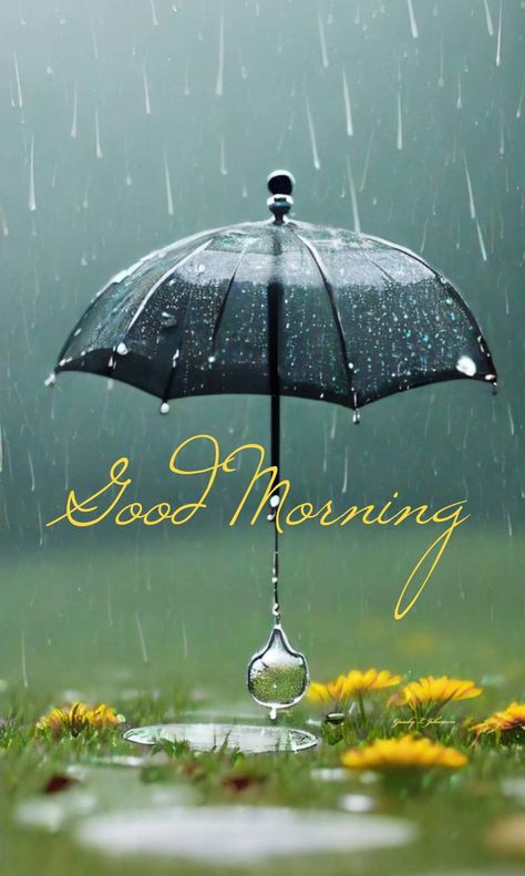 Rainy Morning Quotes, Rainy Good Morning, Rainy Day Wallpaper, Day Wallpaper, Morning Nature, Bahamas Island, Good Morning Quote, Rainy Morning, Morning Quote