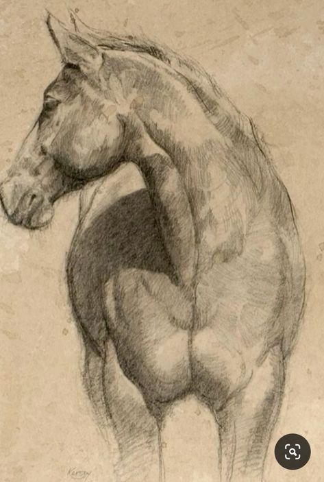 Art Aesthetic Drawing, Jesus Art Drawing, Horse Art Drawing, Watercolor Paintings Of Animals, Horse Sketch, Sketches Art, Horse Artwork, Equestrian Art, Female Art Painting