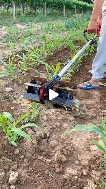 Power Tiller, Agricultural Implements, Agriculture Machine, Agricultural Tools, Modern Agriculture, Tractor Implements, November 13, Garden Boxes, Landscaping Ideas