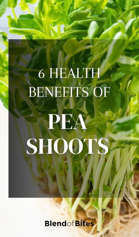 Sprouts Benefits, Benefits Of Peas, Microgreens Recipe, Growing Peas, Pea Shoots, Pea Plant, English Peas, Vegetarian Burger, Sprout Recipes