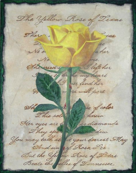 Thinking of TX whenever I see yellow roses. Bluebonnet And Yellow Rose Tattoo, Yellow Rose Of Texas Tattoo, Yellow Rose Drawing, Yellow Rose Of Texas Art, Texas Party, Painted Yellow Roses, Texas Traditions, Yellow Rose Of Texas, Texas Map Art