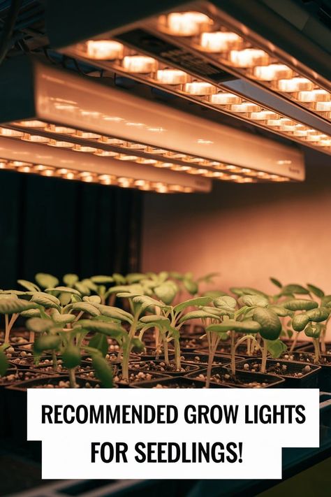 Recommended Grow Lights for Indoor Seedlings Grow Lights For Houseplants Set Up, Indoor Seed Starting, Indoor Grow Lights, Best Grow Lights, Starting Seeds, Set Yourself Up For Success, Starting Seeds Indoors, Grow Lights For Plants, Garden Steps