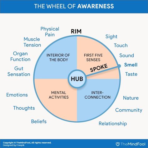 Wheel of Awareness | Wheel of Awareness Meditation | TheMindFool Wheel Of Awareness, Emotions Activities, Visual Metaphor, Bicycle Wheel, Physical Pain, Inner Healing, Human Services, Muscle Tension, Meditation Practices