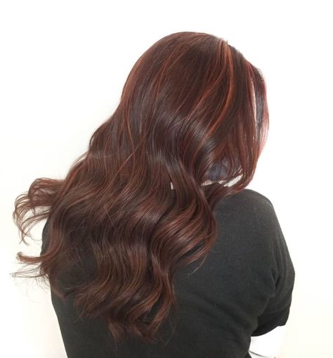 Mahogany Brown Hair Color, Hair Color Ideas For 2023, Mahogany Hair Color, Mahogany Brown Hair, Hair Color Mahogany, Mahogany Hair, The Right Hairstyles, Wine Red Hair, Brown Hair Looks