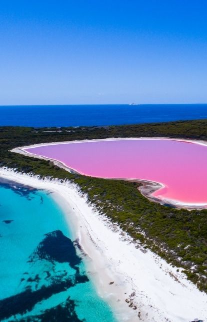 Lake Hillier Australia, Pink Lake Australia, Hutt Lagoon, Unique Scenery, Lush Green Forest, Middle Island, Australia Landscape, Australia Tourism, Pink Lake