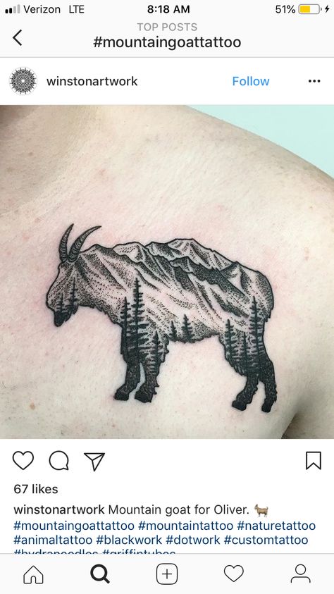 Bighorn Sheep Tattoo, Big Horn Sheep Tattoo, Mountain Goat Tattoo, Moutain Tattoos, Goat Tattoo, Flower Side Tattoo, Canada Tattoo, Sheep Tattoo, Big Horn Sheep