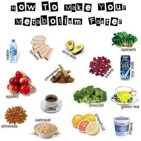 Hot To Make Your Metabolism Faster Speed Metabolism, Green Tea Coffee, Oatmeal Yogurt, Almond Yogurt, Metabolism Boosting Foods, Metabolic Diet, Speed Up Metabolism, Fast Metabolism Diet, Metabolism Booster