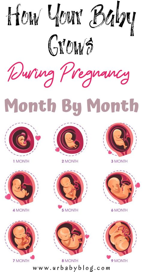 Pregnancy Month By Month, Weeks To Months Pregnant, 1st Month Of Pregnancy, Pregnancy Month, Third Month Of Pregnancy, First Month Of Pregnancy, 5 Month Baby, Pregnancy Art, Frock Designs