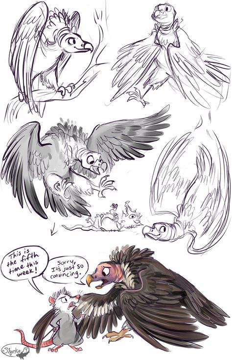 Vultures by sharkie19 on DeviantArt Cartoon Vulture, Draw A Monster, Monster Girls, Desenho Tattoo, Character Design Animation, Animal Sketches, Animation Design, Arte Animal, Art Drawings For Kids